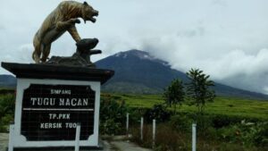 Alasan Mengapa Pergi Mendaki Gunung